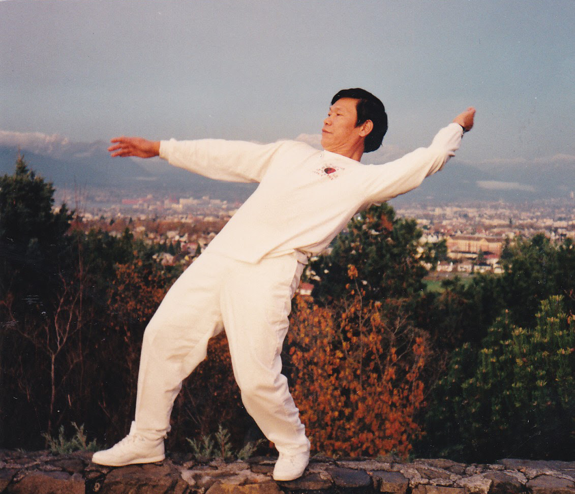 Liang Yi form